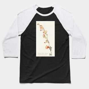 Munro's Globemallow - Botanical Illustration Baseball T-Shirt